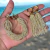 Conjunto Novo champanhe boreal