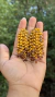 Brinco Marília amarelo