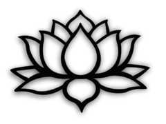 Flor de loto 2