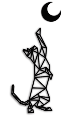 Gato luna