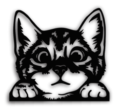 Gato grande