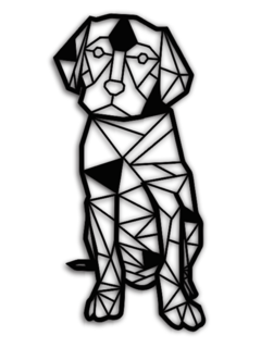 Labrador
