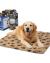Manta Polar 100x70cm (Can Cat) en internet