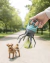 RECOLECTOR PINZA CON PORTABOLSA - Bruno´s Petshop