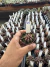 Gymnocalycium Híbrido Daydream vaso 6 Cod 59 na internet