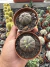 Euphorbia Obesa Casal ( macho e fêmea) vaso 7 - comprar online