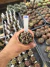 Gymnocalycium Híbrido Daydream vaso 6 Cod 12 - comprar online
