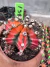 Gymnocalycium variegata raiz própria vaso 9 cod 198 - comprar online