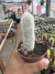 Cacto espostoa lanata vaso 9