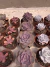 Echeveria Perle Von Nuremberga vaso 11 - comprar online