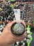 Astrophytum Asteria Star Shape vaso 6 cod 29