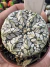 Astrophytum Asterias V-type Super Kabuto Vaso 6 cod 26