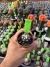 Astrophytum asteria Purple vaso 6 Cod 6 - comprar online