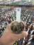 Gymnocalycium T- Lux vaso 6 cod 18 - comprar online