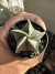Astrophytum Nudum vaso 7 ( Sortidos ) - comprar online