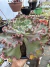 Echeveria Gibbiflora Mauna Loa Cuia 23 - comprar online