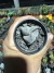 Astrophytum myriostigma Tricostatum vaso 6 ( Sortidos ) - comprar online