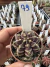 Gymnocalycium Híbrido Daydream vaso 6 Cod 79 - comprar online