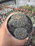 Gymnocalycium Quehlianum vaso 9 Duas mudas