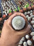 Rebutia Muscula vaso 7 - comprar online