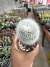 Notocactus Scopa Exertado vaso 9 - comprar online