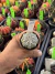 Astrophytum Asterias V-type Super Kabuto Vaso 6 cod 22 - comprar online