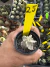 Astrophytum cv. Fukuryu vaso 7 Cod 25 - comprar online