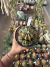 Gymnocalycium Variegata Matriz vaso 15 Cod 30 - comprar online