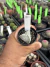 Astrophytum myriostigma Tricostatum vaso 6 Cod 2 - comprar online