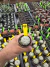 Astrophytum Asterias V-type Super Kabuto Vaso 6 cod 78 - comprar online