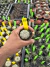 Astrophytum Asterias V-type Super Kabuto Vaso 6 cod 87 - comprar online