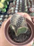 Copiapoa Tenuissima Cristata Exertada vaso 7 - comprar online