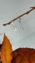 ARGOLA CRUZ PEND CRAV na internet