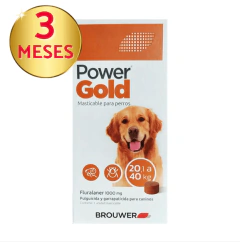 COMPRIMIDOS POWER GOLD - tienda online