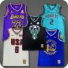 Kit 5 Regatas Bucks Preta Lakers Roxa Usa Branca Hornets Verde Água e Golden Azul - comprar online