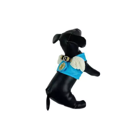 Colete Peitoral Anjo