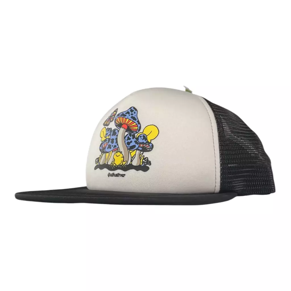 Gorra Quiksilver Tripson