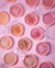 BLUSH AMORE MIO | MIAMAKE