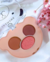 PALETA DE SOMBRAS ABRAÇO DE URSO - JASMYNE - Amanda Cosméticos