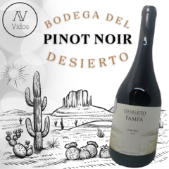 DESIERTO PAMPA PINOT NOIR - comprar online