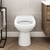 Kit vaso sanitário convencional + assento modelo Lírio marca Fiori - Branco - comprar online
