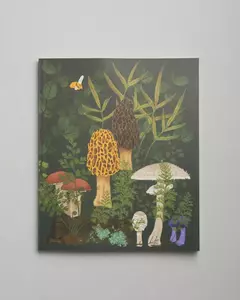 Cuaderno 20 x 25 cm. Rayado. Tapa blanda. Bosque. - comprar online