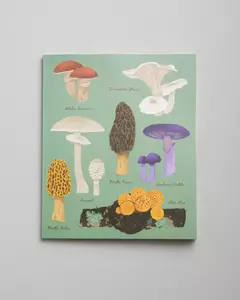 Cuaderno 20 x 25 cm. Rayado. Tapa blanda. Fungi. - comprar online