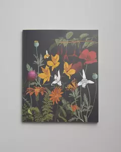 Cuaderno 20 x 25 cm. Rayado. Tapa blanda. Pradera. - comprar online