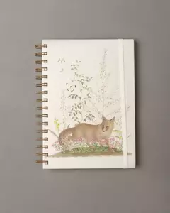 Cuaderno A5. Tapa dura. Anillado. Hojas lisas. Zorrito. - comprar online