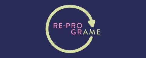 Loja Reprograme