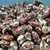 Amendoim escuro diet caramelizado - 200g na internet