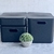 Caja minimal eco friendly con tapa negra en internet