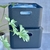 Imagen de Caja minimal eco friendly con tapa negra