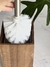 Toilet Brush Acacia Cuadrado - comprar online